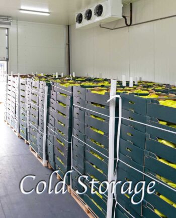 Cold Storage