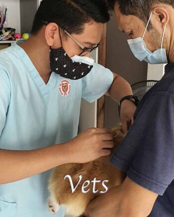 Vets